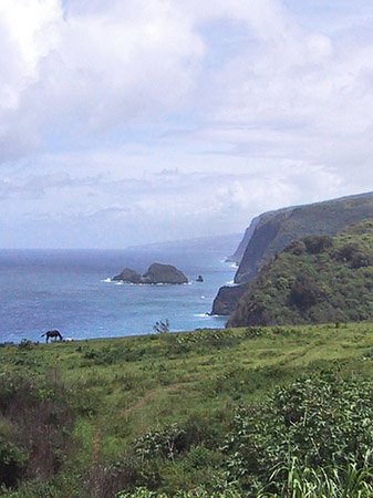 Hawaiis Straßenränder Fotos