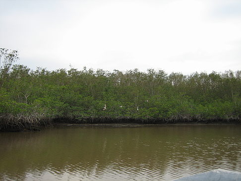 Fluss