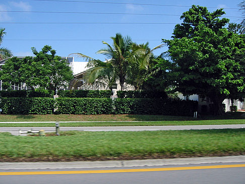 Fotos Straßenrand auf Marco Island | Marco Island