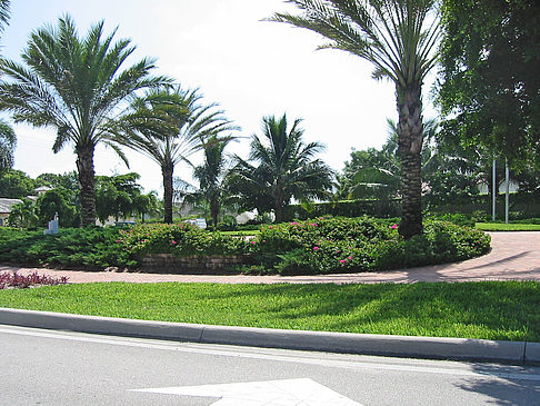 Straßenrand auf Marco Island Foto 