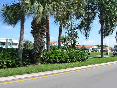 Fotos Straßenrand auf Marco Island