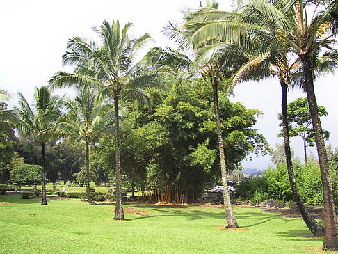 Fotos Hawaiis Straßenränder