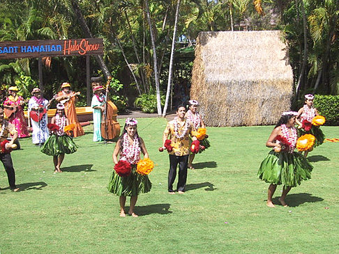 Hula Show Fotos
