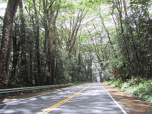 Straßen auf Hawaii