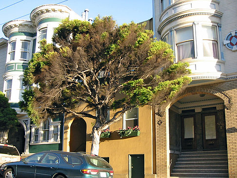 Foto Straßen von San Francisco - San Francisco