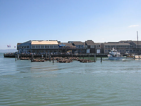 Foto Fishermans Pier 39 bis 45