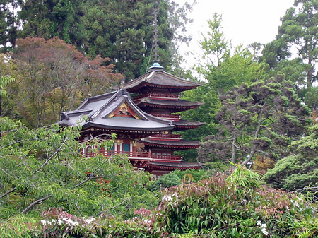 Fotos Golden Gate Park mit Botanischen Garten