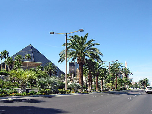 Fotos Las Vegas aus dem Auto