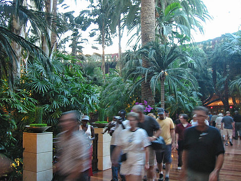 Fotos Hotel Mirage